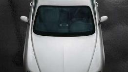 Poprawianie perfekcji