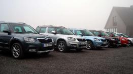 Skoda Yeti - spokojnie, to tylko kosmetyka