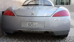 Peugeot 607 Feline - napotkana gwiazda