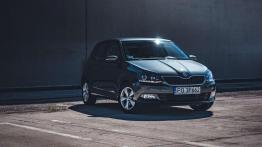 Skoda Fabia III
