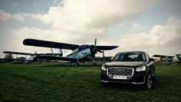 Audi Q2 SUV 1.5 35 TFSI 150KM 110kW 2019-2020