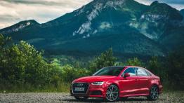 Audi A3 8V Sportback 5d Facelifting 1.5 35 TFSI 150KM 110kW 2018-2020