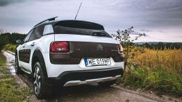 Citroen C4 Cactus Rip Curl - galeria redakcyjna