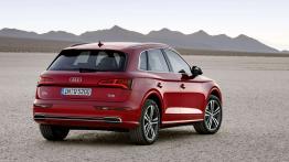 Audi Q5 II SUV 2.0 45 TFSI 245KM 180kW 2019-2020