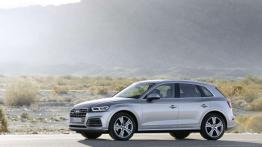 Audi Q5 (2017)