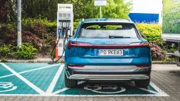Audi e-tron - galeria redakcyjna - widok z tyłu