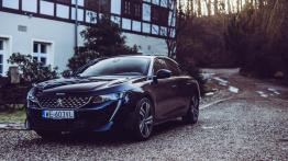 Peugeot 508 - galeria redakcyjna - widok z przodu
