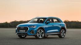 Audi Q3 (2018) - inne zdjęcie