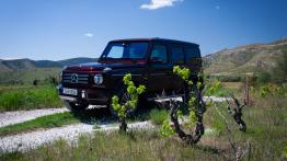 Mercedes Klasa G W464 Terenowy 4.0 500 422KM 310kW 2018-2023