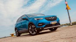 Opel Grandland/Grandland X A SUV 2.0 CDTI 177KM 130kW 2018-2021