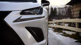Lexus NX 300 - galeria redakcyjna (2)
