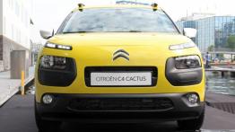 Citroen C4 Cactus - galeria redakcyjna - widok z przodu