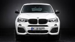 BMW X4 G01 xDrive30d 258KM 190kW 2014-2017