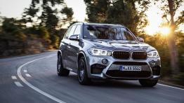 BMW X5 F15 M SUV 4.4 575KM 423kW 2014-2015