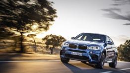 BMW X6 F16 M