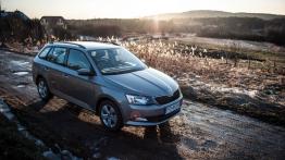 Skoda Fabia III Kombi