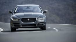 Jaguar XE 2.0d Ammonite Grey (2015) - widok z przodu