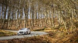 Jaguar XE S Polaris White (2015) - widok z przodu