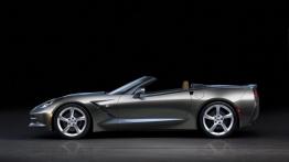 Chevrolet Corvette C7 Stingray Cabrio (2014) - lewy bok