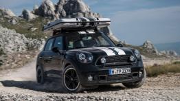 Mini Countryman ALL4 Camp (2013) - widok z przodu