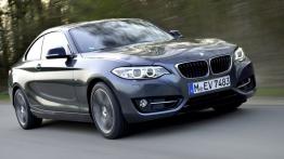 BMW 220i Coupe Sport Line (2014) - widok z przodu