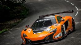 McLaren 650S GT3 (2014) - widok z przodu