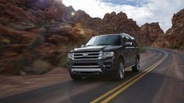 Ford Expedition III 5.4 i V8 32V 304KM 224kW 2007-2016