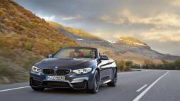 BMW Seria 4 F32-33-36 M4 Cabrio 3.0 M4 431KM 317kW 2014-2015