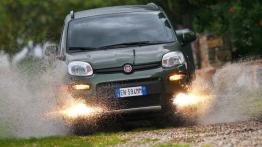 Fiat Panda III 4x4 1.3 Multijet  95KM 70kW 2015-2016