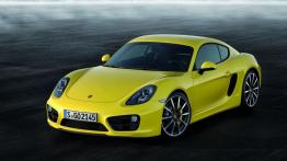 Porsche Cayman 981c Coupe 3.4 340KM 250kW 2014-2016