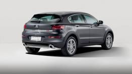 Qoros 3 Cross Hybrid Concept (2013) - widok z tyłu