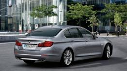 BMW Seria 5 F10 - widok z tyłu