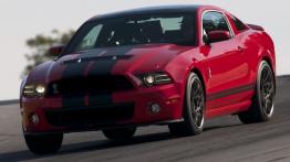Ford Mustang Shelby GT500 Coupe 2013 - widok z przodu