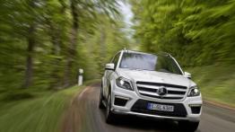 Mercedes Klasa GL X166 Off-roader AMG 63 AMG 558KM 410kW 2012-2015
