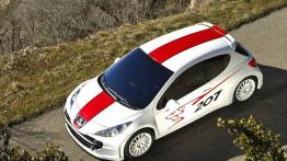 Peugeot 207 RCup Concept - widok z góry