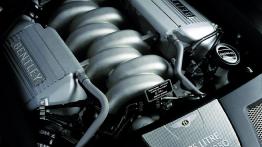 Bentley Arnage II (T) T 6.8 V8 507KM 373kW 2011