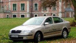 Skoda Octavia II 1.6 Ambiente - galeria redakcyjna - widok z przodu