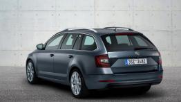 Odświeżona Skoda Octavia z nietypowymi światłami