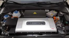 Volkswagen Golf oraz Passat w wariancie HyMotion