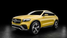 Mercedes-Benz Concept GLC Coupe - walka trwa