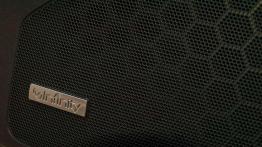 Insygnia mocy - Opel Insignia