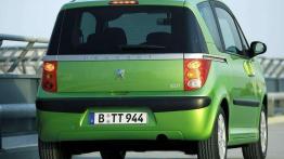 Ofiara praktyczności - Peugeot 1007