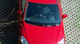 Wciąż na gwarancji - Kia cee'd (2006- )