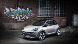 Motoryzacyjne nowości 2014 od O do V