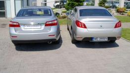 Winniczki kontra żabie udka