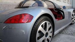 Peugeot 607 Feline - napotkana gwiazda