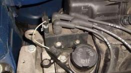 Opis techniczny Renault Thalia