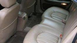 Europejski Amerykanin