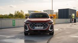 Audi SQ5 jest przykładem auta do wszystkiego. Tym razem na serio