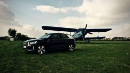Audi Q2 SUV 1.5 35 TFSI 150KM 110kW 2019-2020